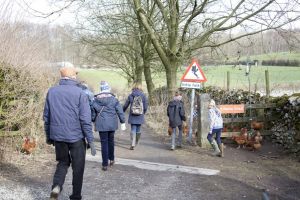 landscape feb 2016 cumbria 93 sm-c37.jpg
